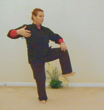 Photo: A movement in the 2st Third of the Yang Cheng Fu long form of Tai Chi. © all rights reserved.