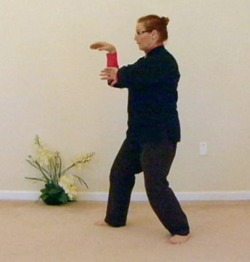 Photo: Posture in the 1st 3rd of Yang Cheng Fu Tai Chi. © All rights reserved.
