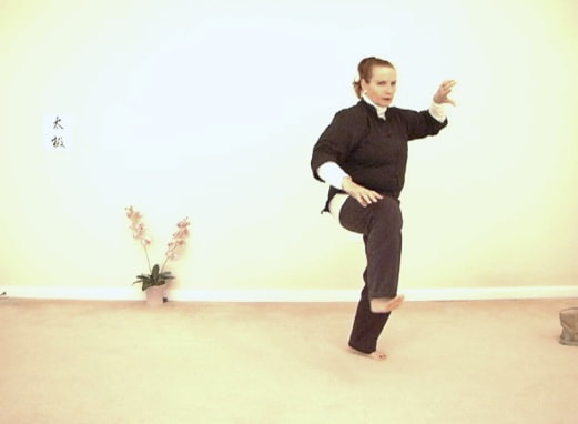 Master Lachlan demonstrates Brush Knee Twist Step sequence in Yang Lo Chan long form Tai Chi. © All rights reserved.