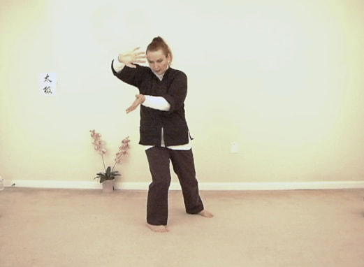 Master Lachlan demonstrates Double Dragon Palm & Strike in Yang Lo Chan long form Tai Chi. © All rights reserved.