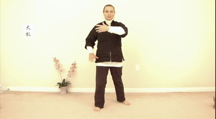 Master Lachlan demonstrates basics for Yang Lo Chan long form Tai Chi. © All rights reserved.