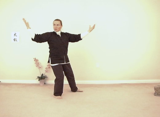 Master Lachlan demonstrates the first third of the Yang Lo Chan long form Tai Chi. © All rights reserved.